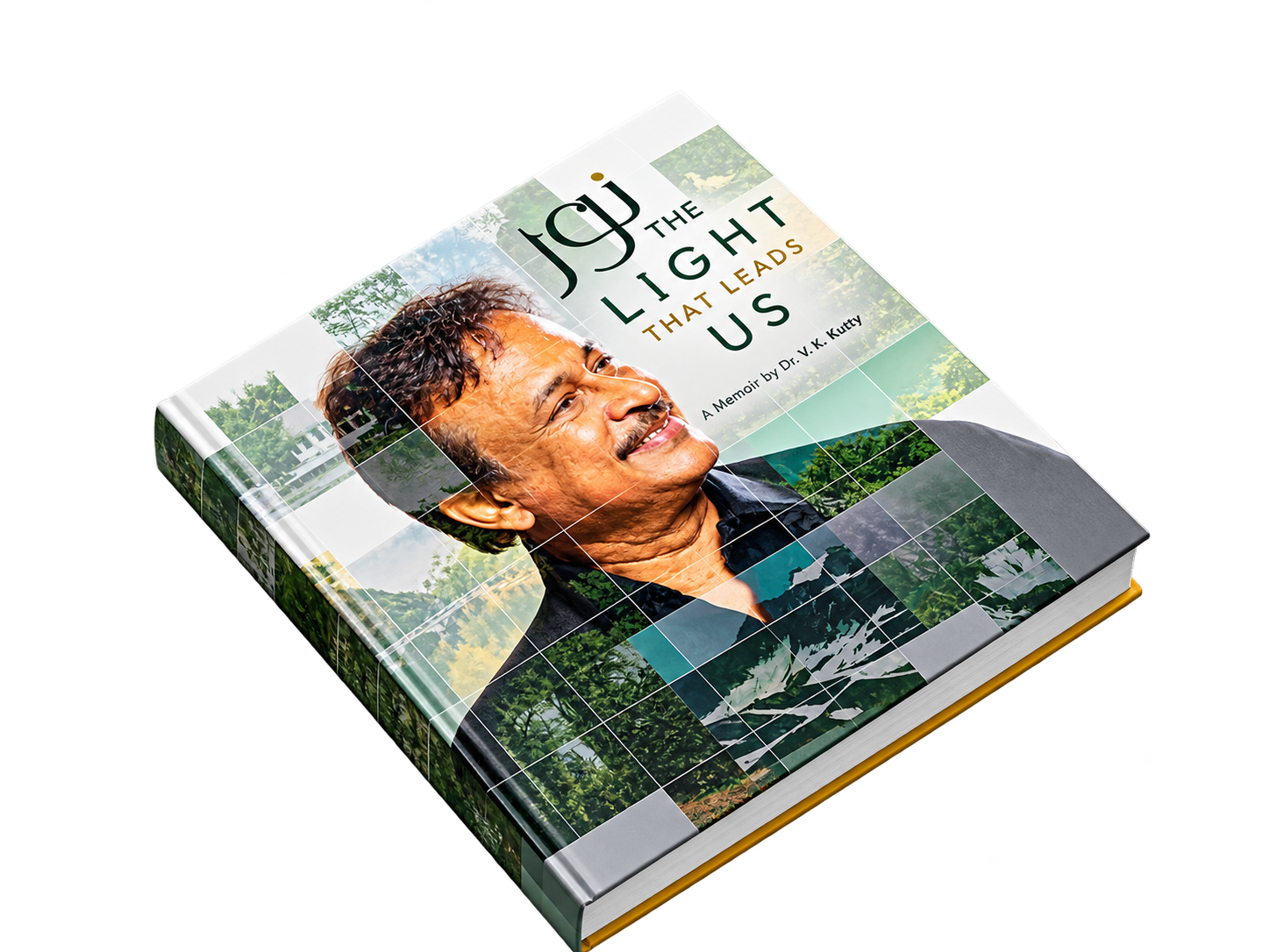 NOOR: THE LIGHT THAT LEADS US book